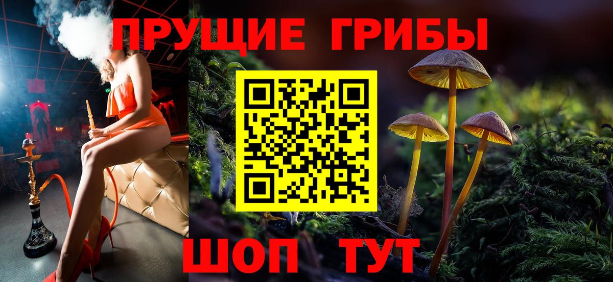Гатчина  Галлюциногенные грибы Magic Shrooms  Вход с VPN 
