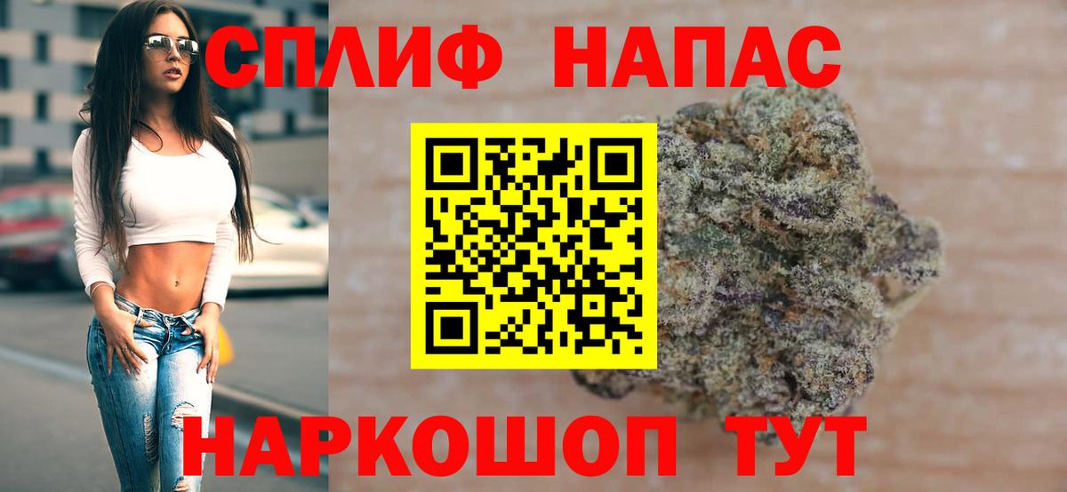 Канабис семена Гатчина